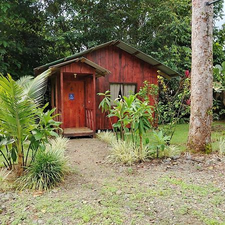 Citronela Lodge Corcovado Drake Bay Zewnętrze zdjęcie