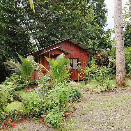 Citronela Lodge Corcovado Drake Bay Zewnętrze zdjęcie