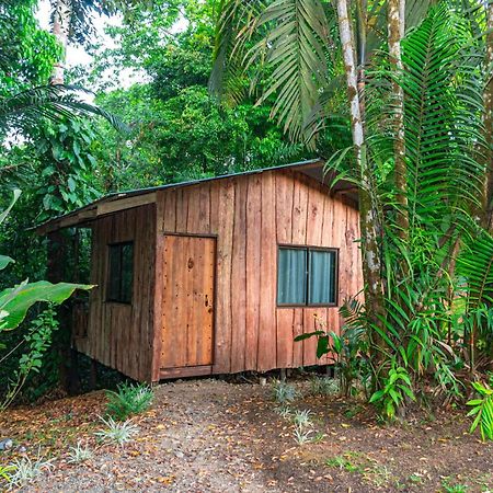 Citronela Lodge Corcovado Drake Bay Zewnętrze zdjęcie