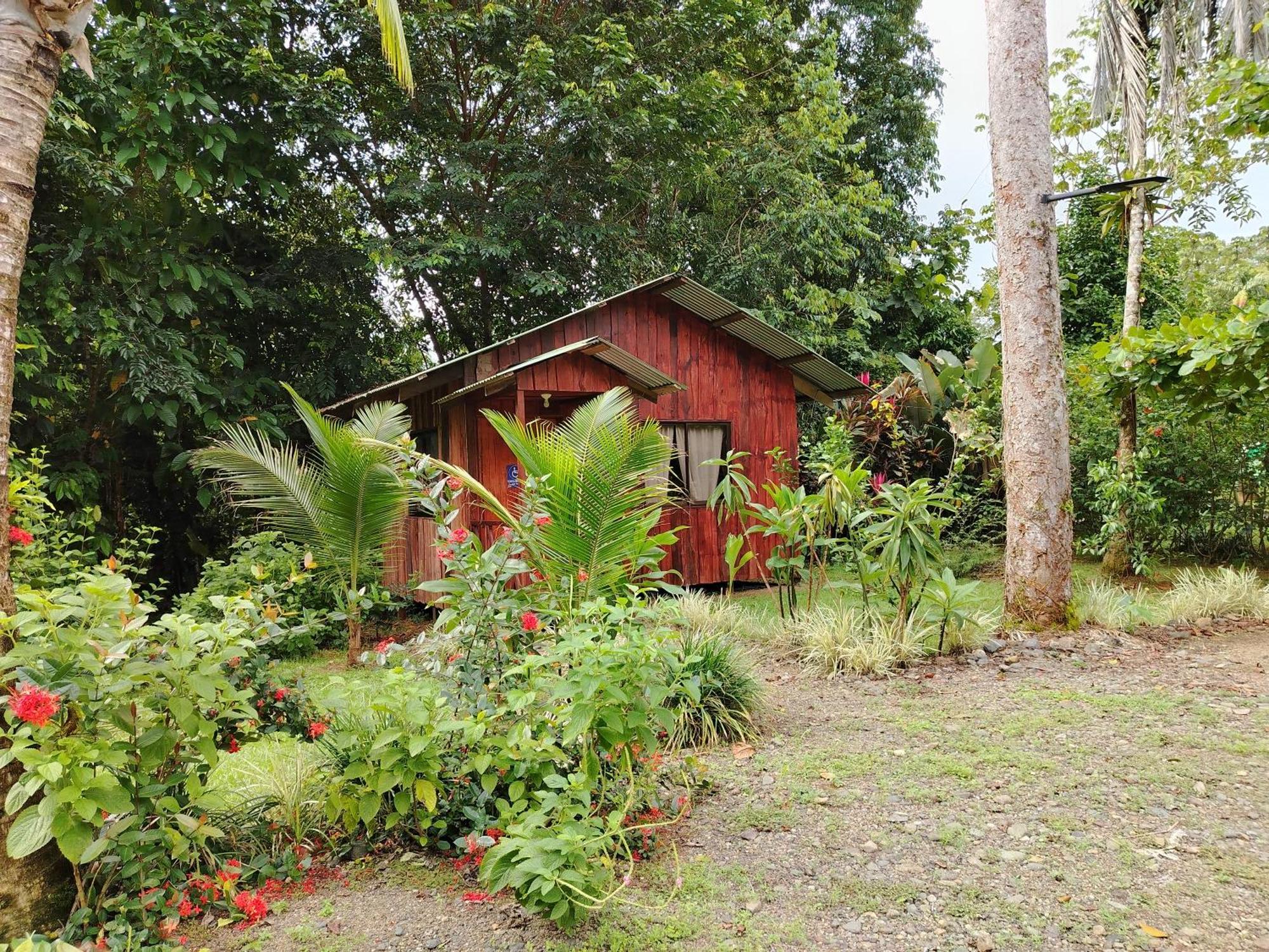 Citronela Lodge Corcovado Drake Bay Zewnętrze zdjęcie
