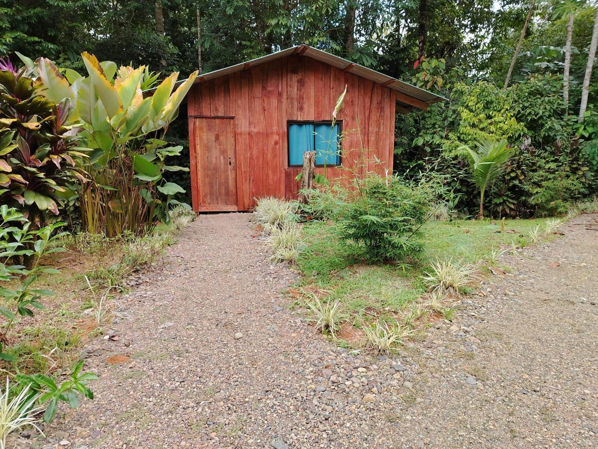Citronela Lodge Corcovado Drake Bay Zewnętrze zdjęcie