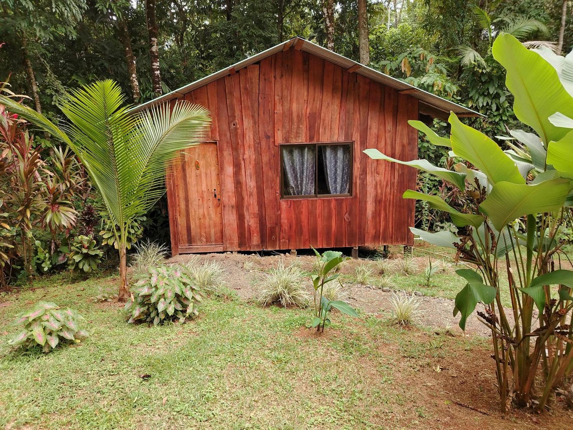 Citronela Lodge Corcovado Drake Bay Zewnętrze zdjęcie