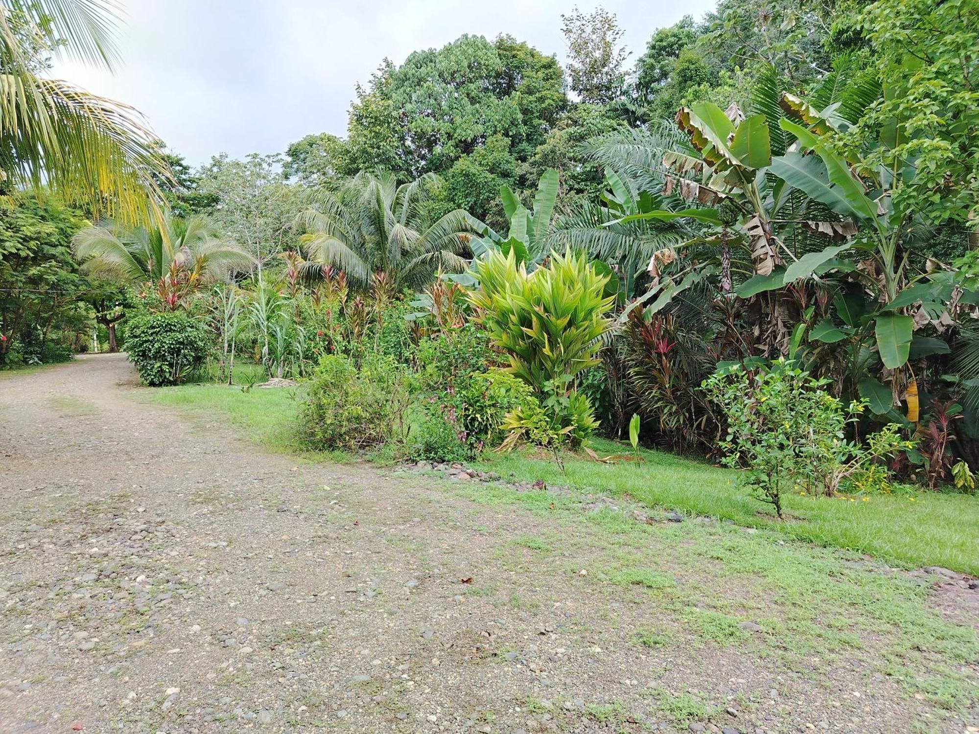 Citronela Lodge Corcovado Drake Bay Zewnętrze zdjęcie