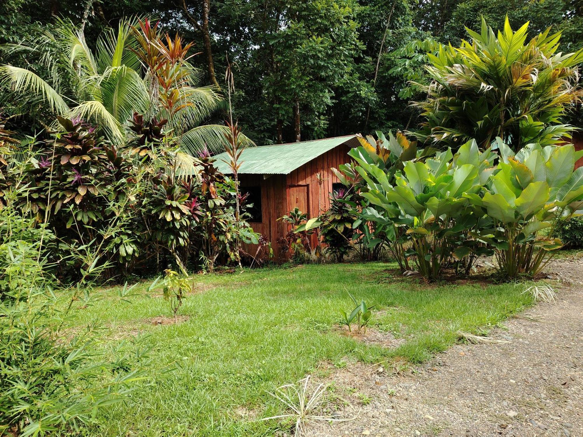 Citronela Lodge Corcovado Drake Bay Zewnętrze zdjęcie