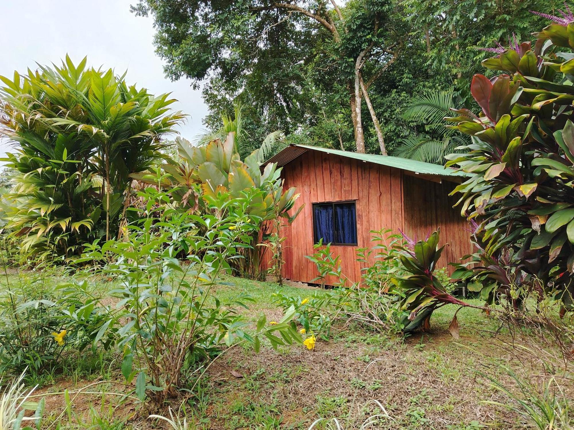 Citronela Lodge Corcovado Drake Bay Zewnętrze zdjęcie