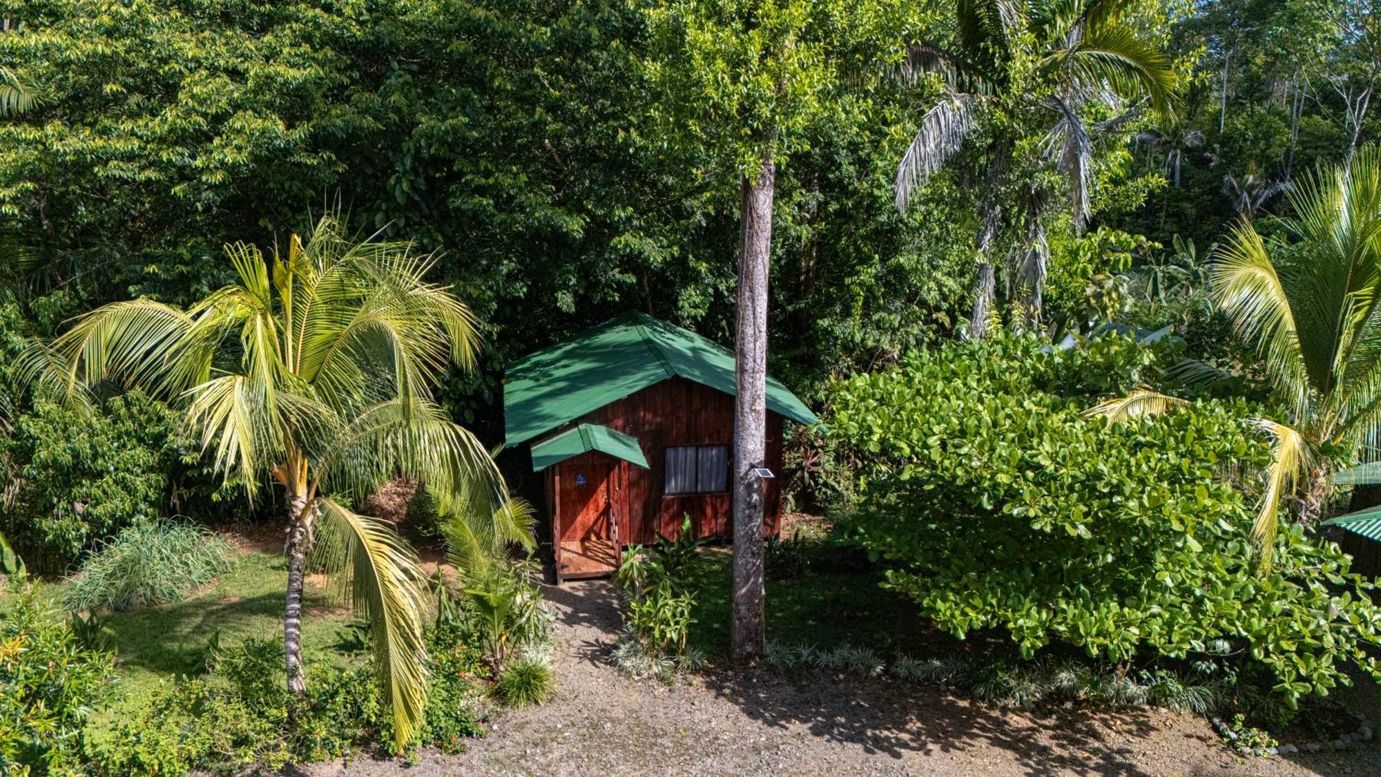 Citronela Lodge Corcovado Drake Bay Zewnętrze zdjęcie