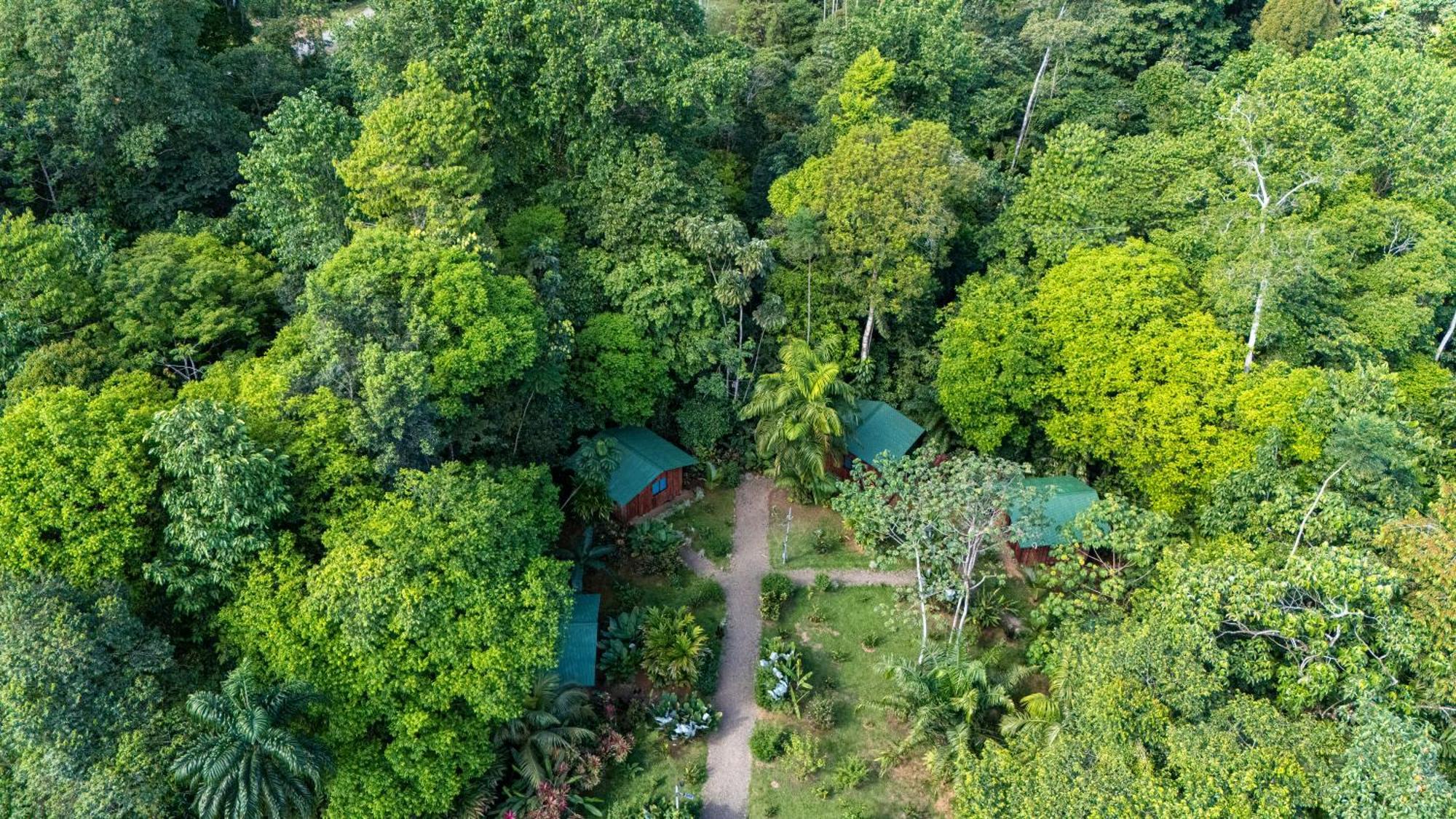 Citronela Lodge Corcovado Drake Bay Zewnętrze zdjęcie