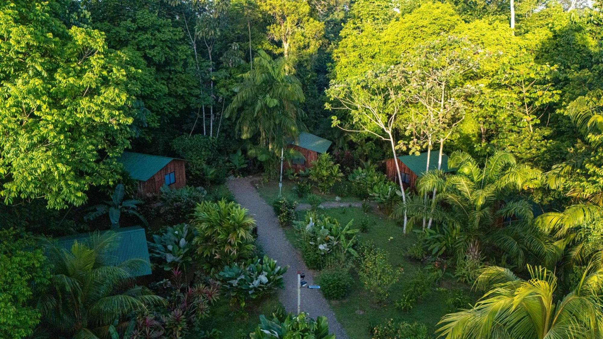 Citronela Lodge Corcovado Drake Bay Zewnętrze zdjęcie
