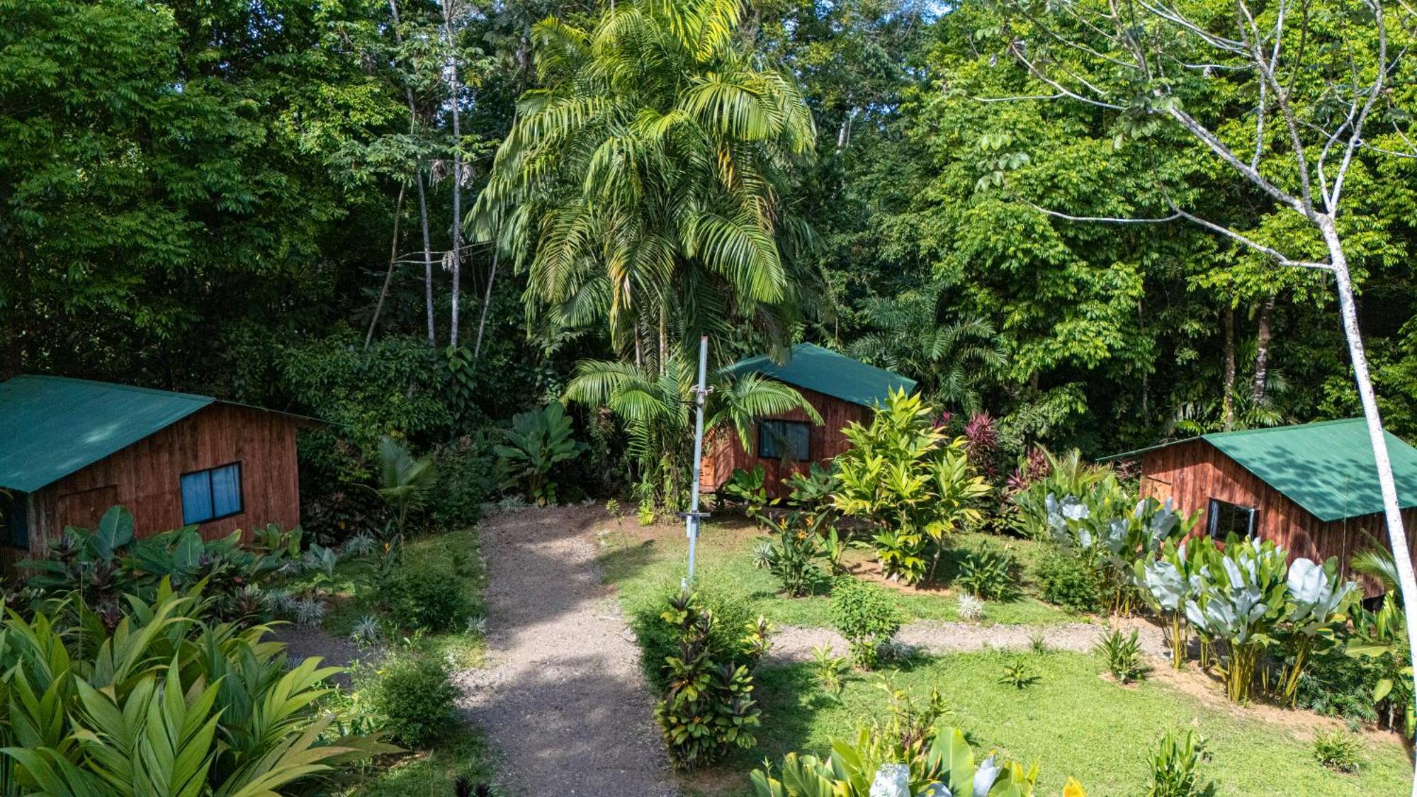 Citronela Lodge Corcovado Drake Bay Zewnętrze zdjęcie