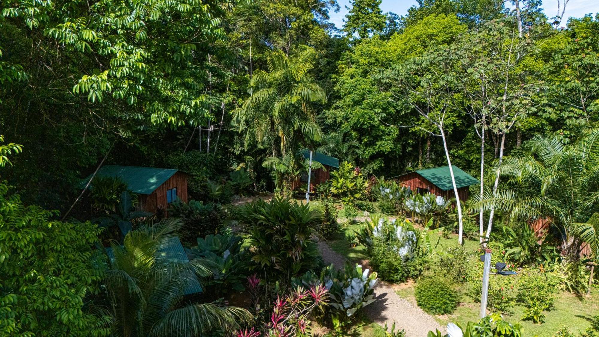 Citronela Lodge Corcovado Drake Bay Zewnętrze zdjęcie
