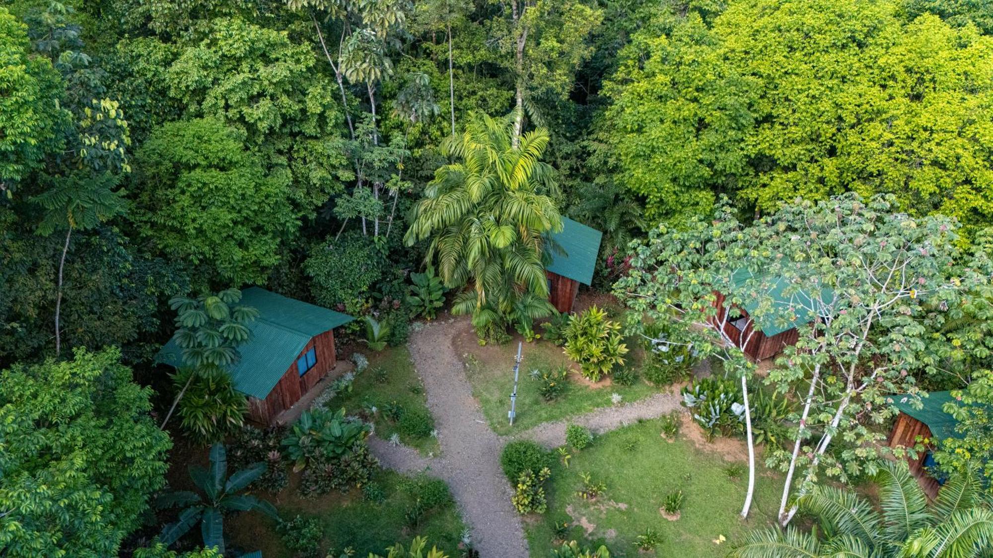 Citronela Lodge Corcovado Drake Bay Zewnętrze zdjęcie