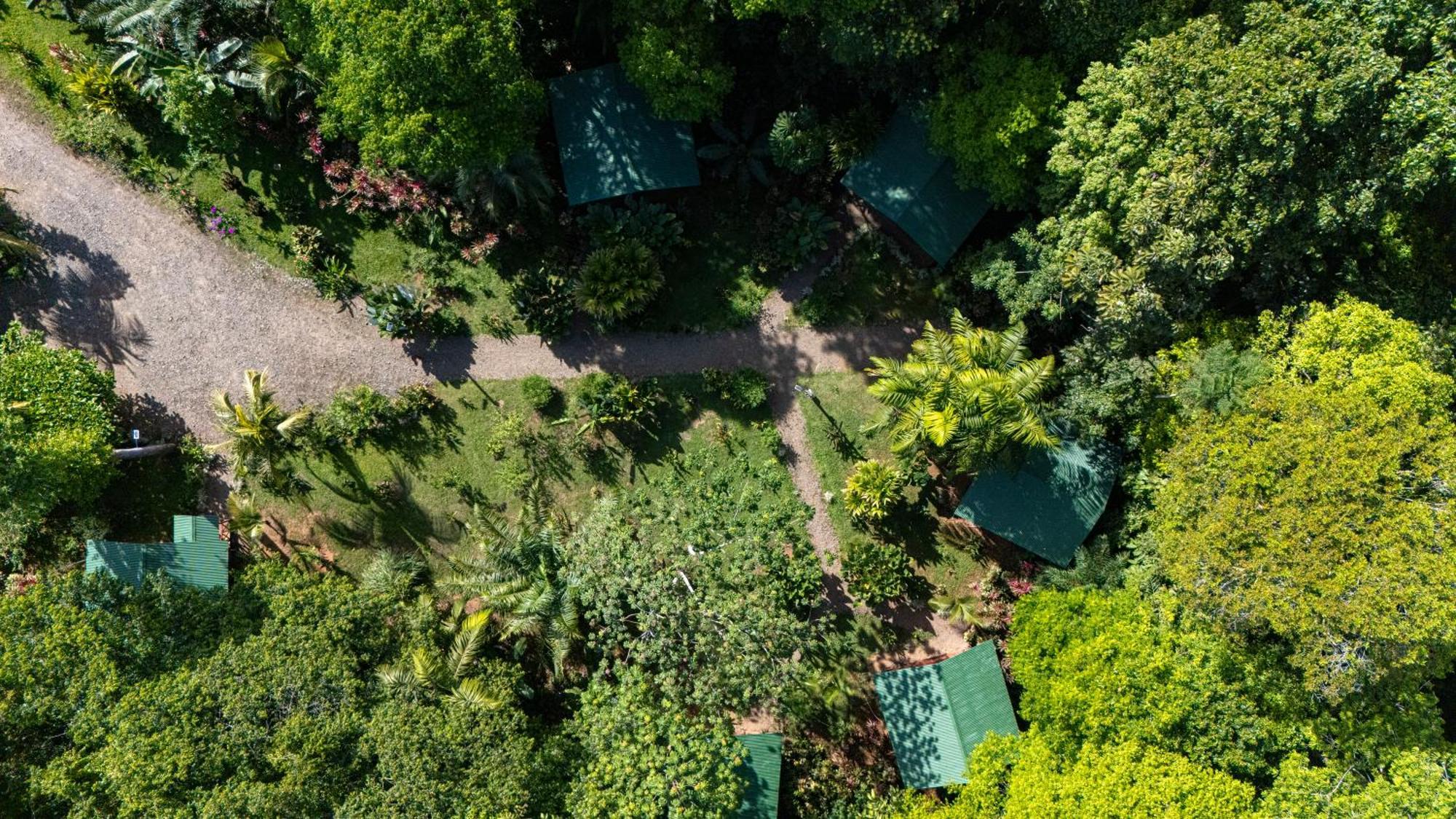 Citronela Lodge Corcovado Drake Bay Zewnętrze zdjęcie