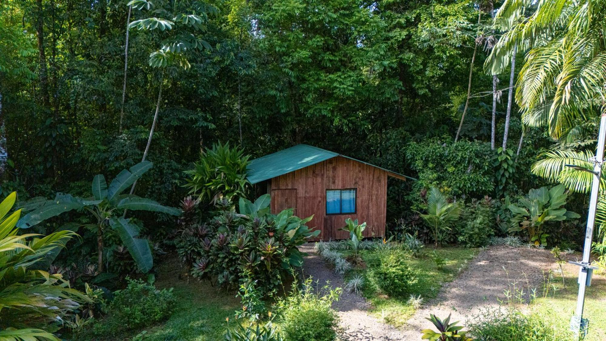 Citronela Lodge Corcovado Drake Bay Zewnętrze zdjęcie