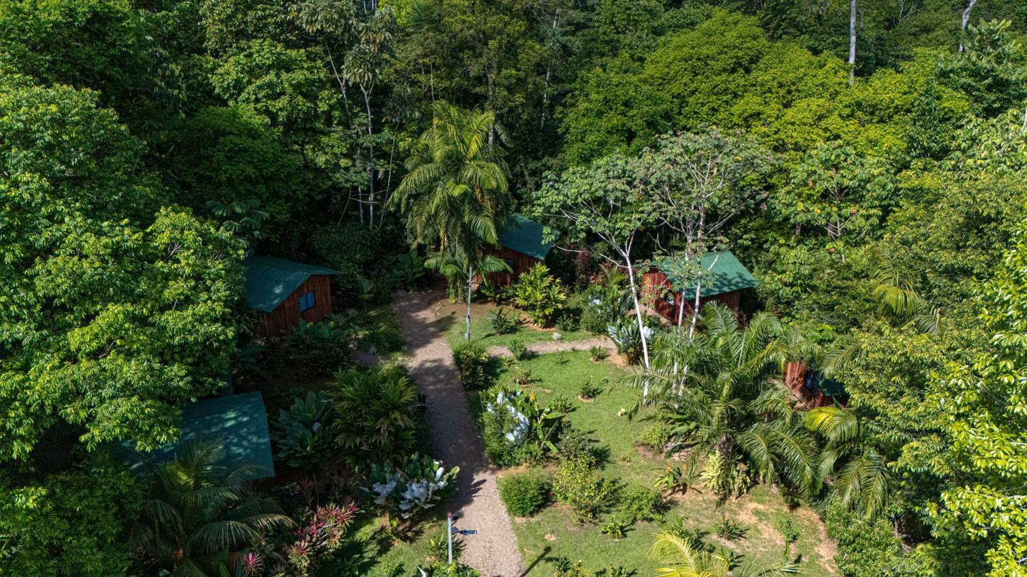 Citronela Lodge Corcovado Drake Bay Zewnętrze zdjęcie
