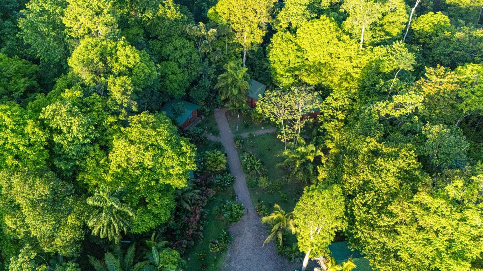 Citronela Lodge Corcovado Drake Bay Zewnętrze zdjęcie