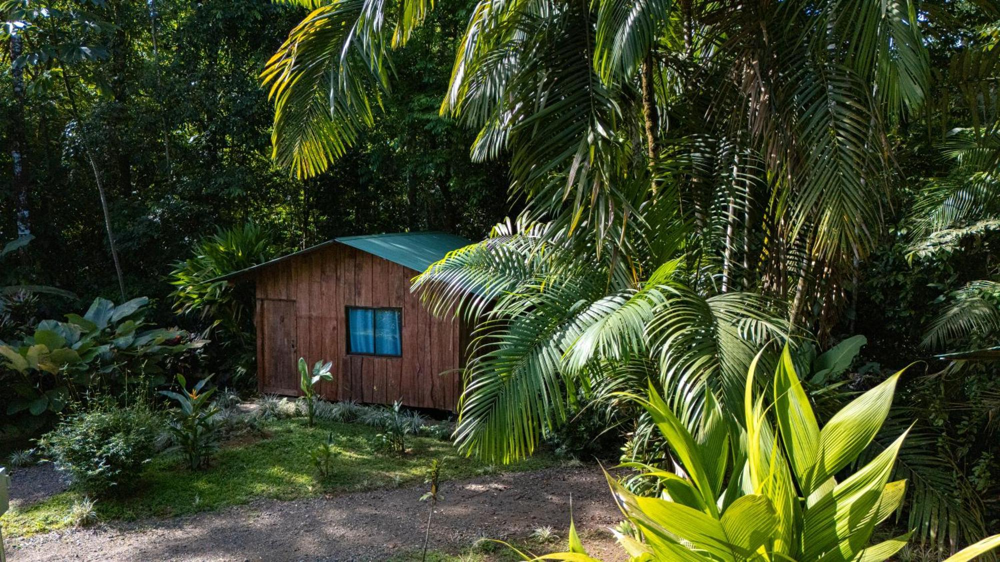 Citronela Lodge Corcovado Drake Bay Zewnętrze zdjęcie