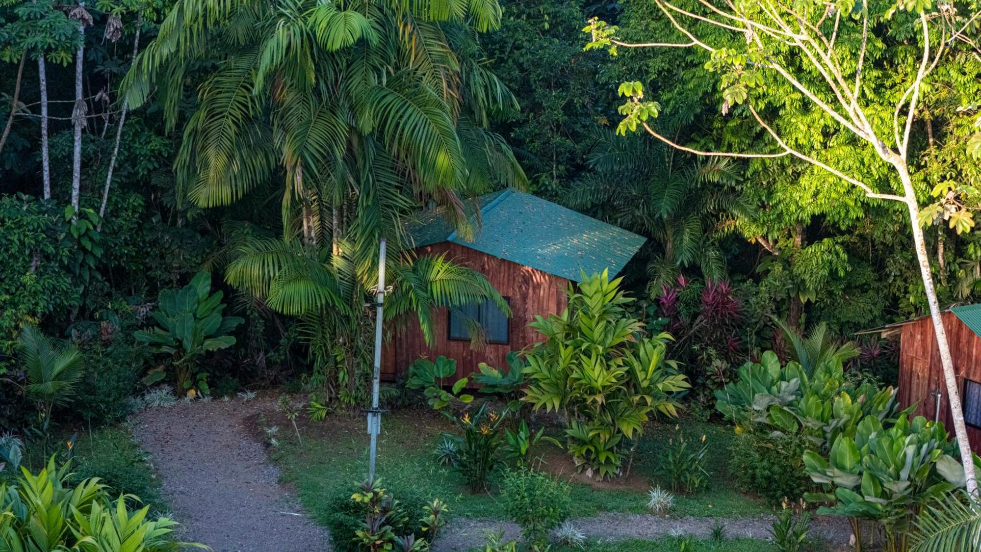 Citronela Lodge Corcovado Drake Bay Zewnętrze zdjęcie