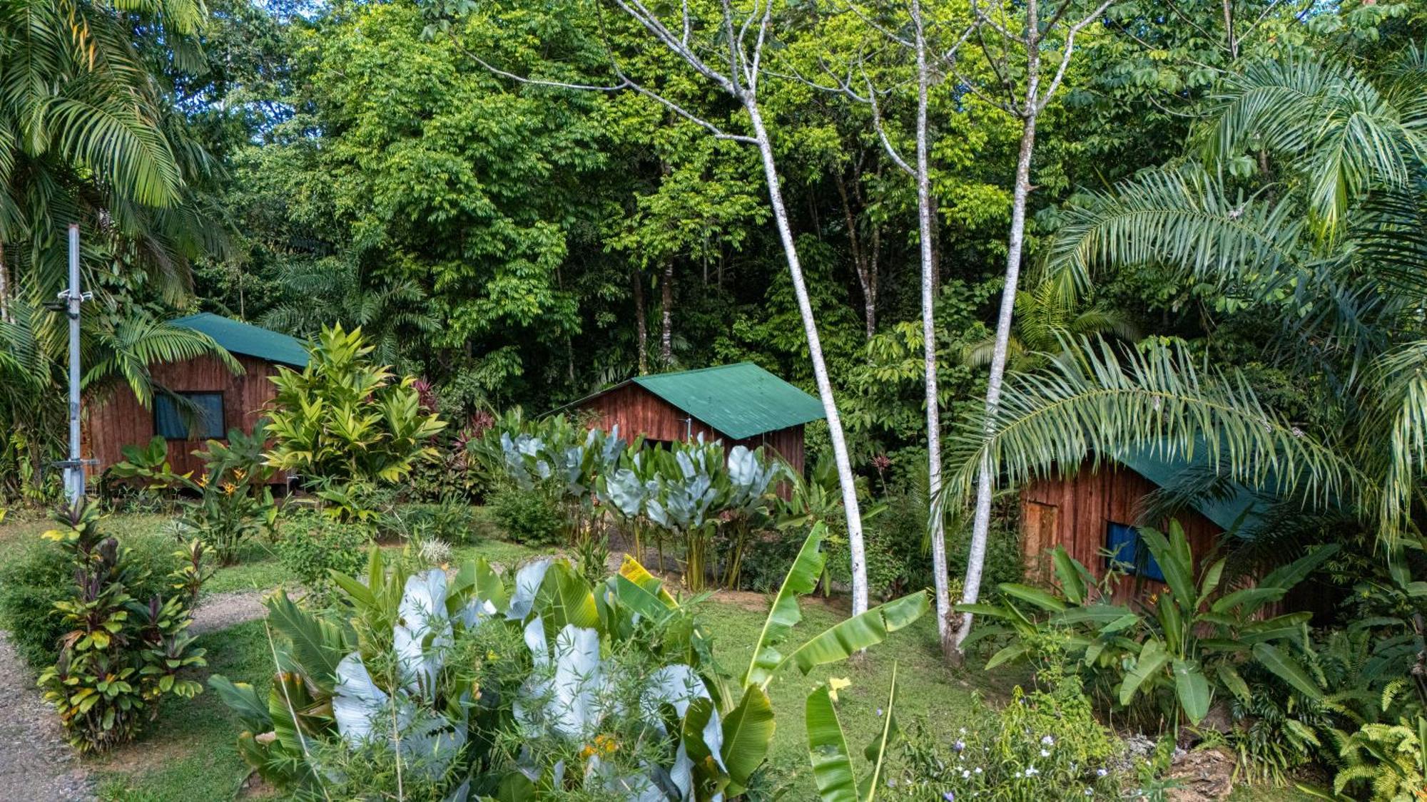 Citronela Lodge Corcovado Drake Bay Zewnętrze zdjęcie