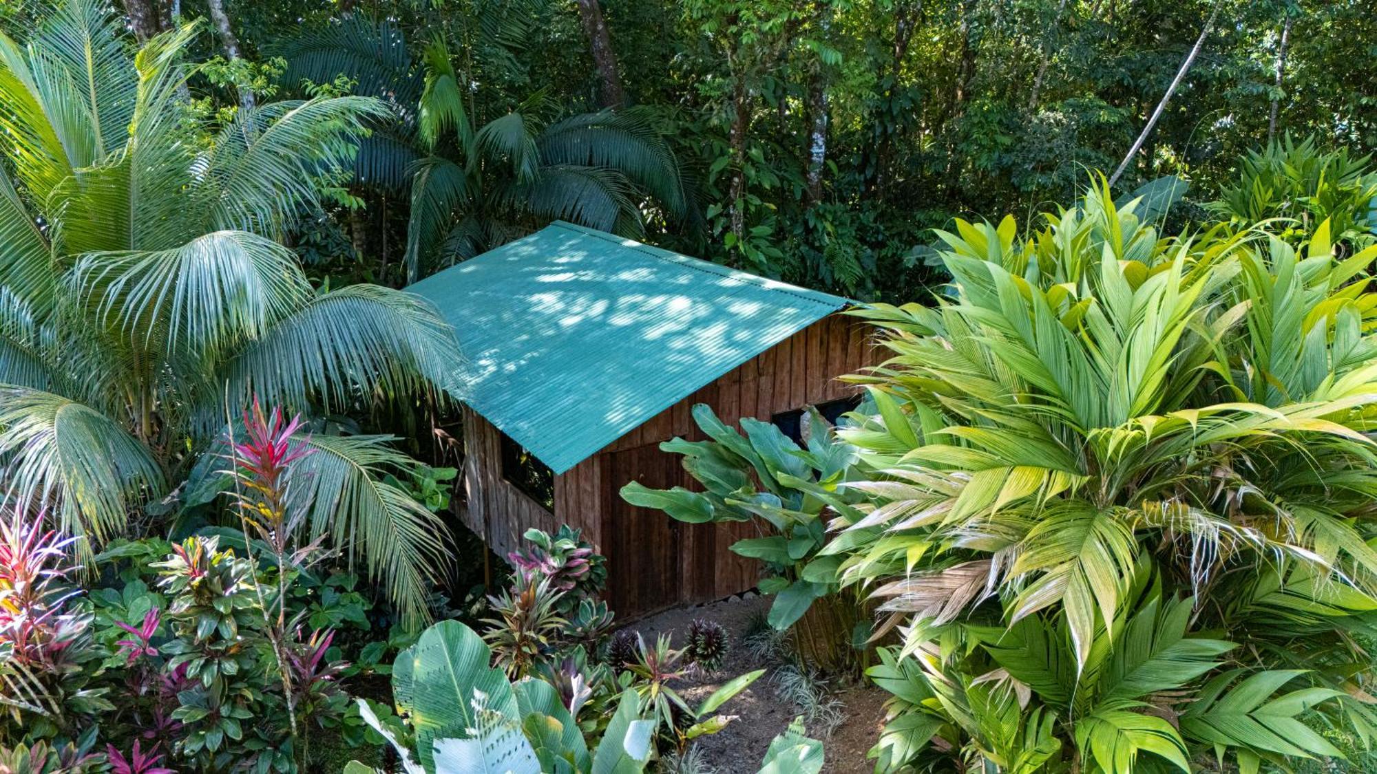 Citronela Lodge Corcovado Drake Bay Zewnętrze zdjęcie