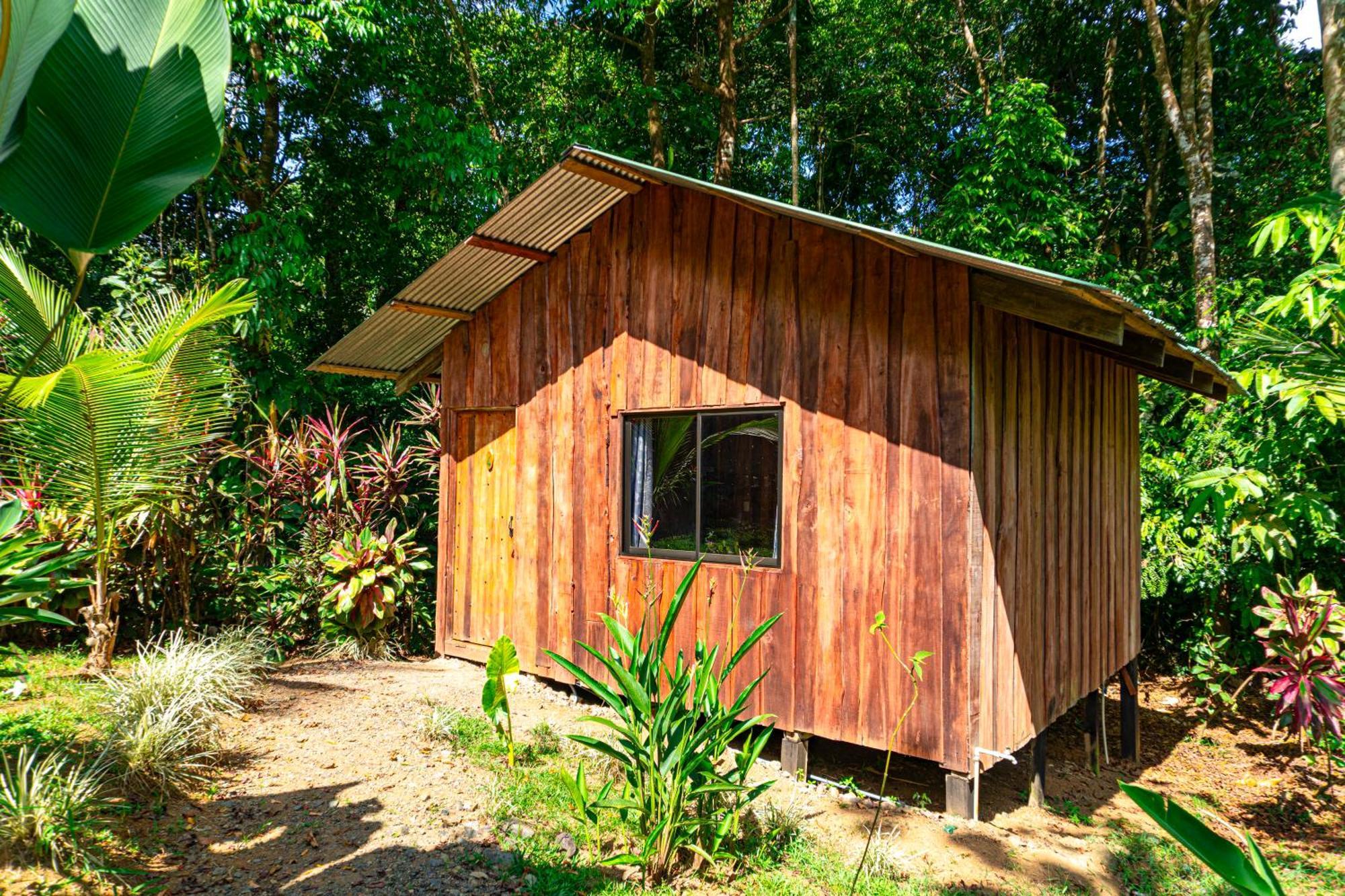 Citronela Lodge Corcovado Drake Bay Zewnętrze zdjęcie