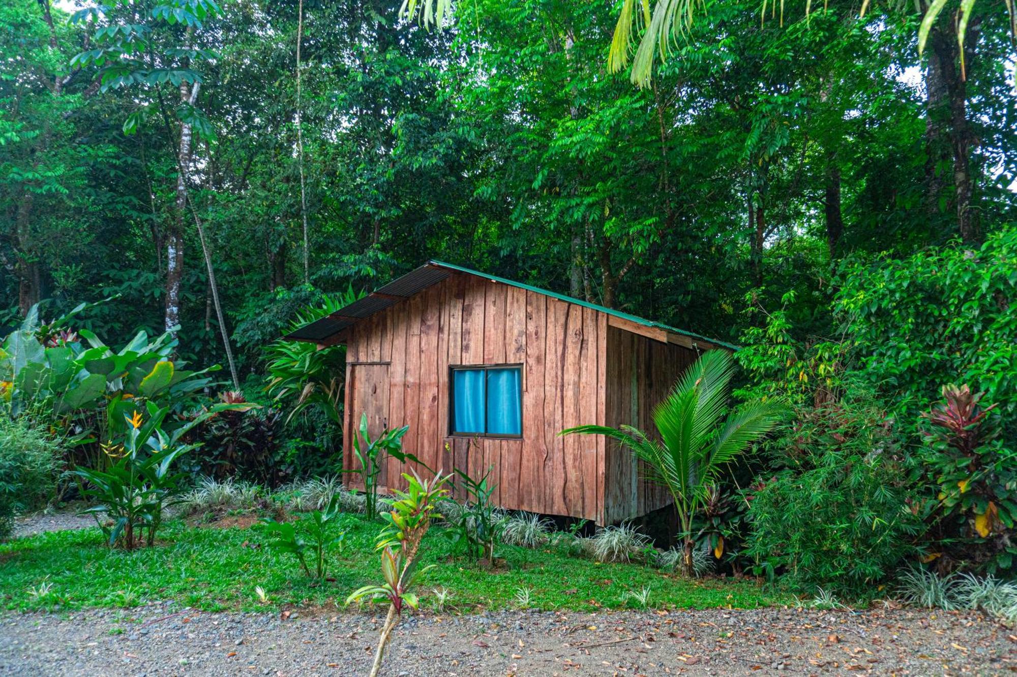 Citronela Lodge Corcovado Drake Bay Zewnętrze zdjęcie