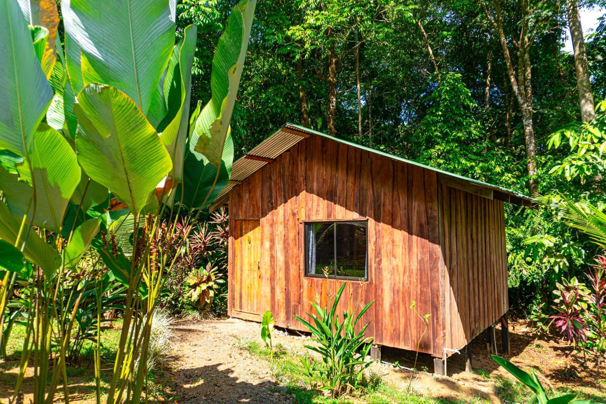 Citronela Lodge Corcovado Drake Bay Zewnętrze zdjęcie