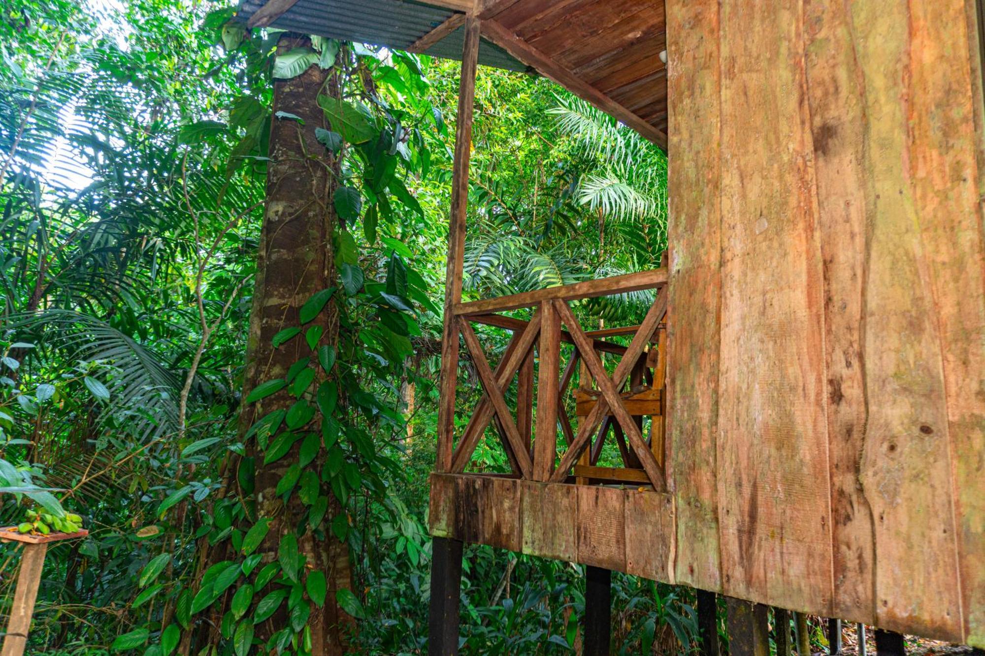 Citronela Lodge Corcovado Drake Bay Zewnętrze zdjęcie