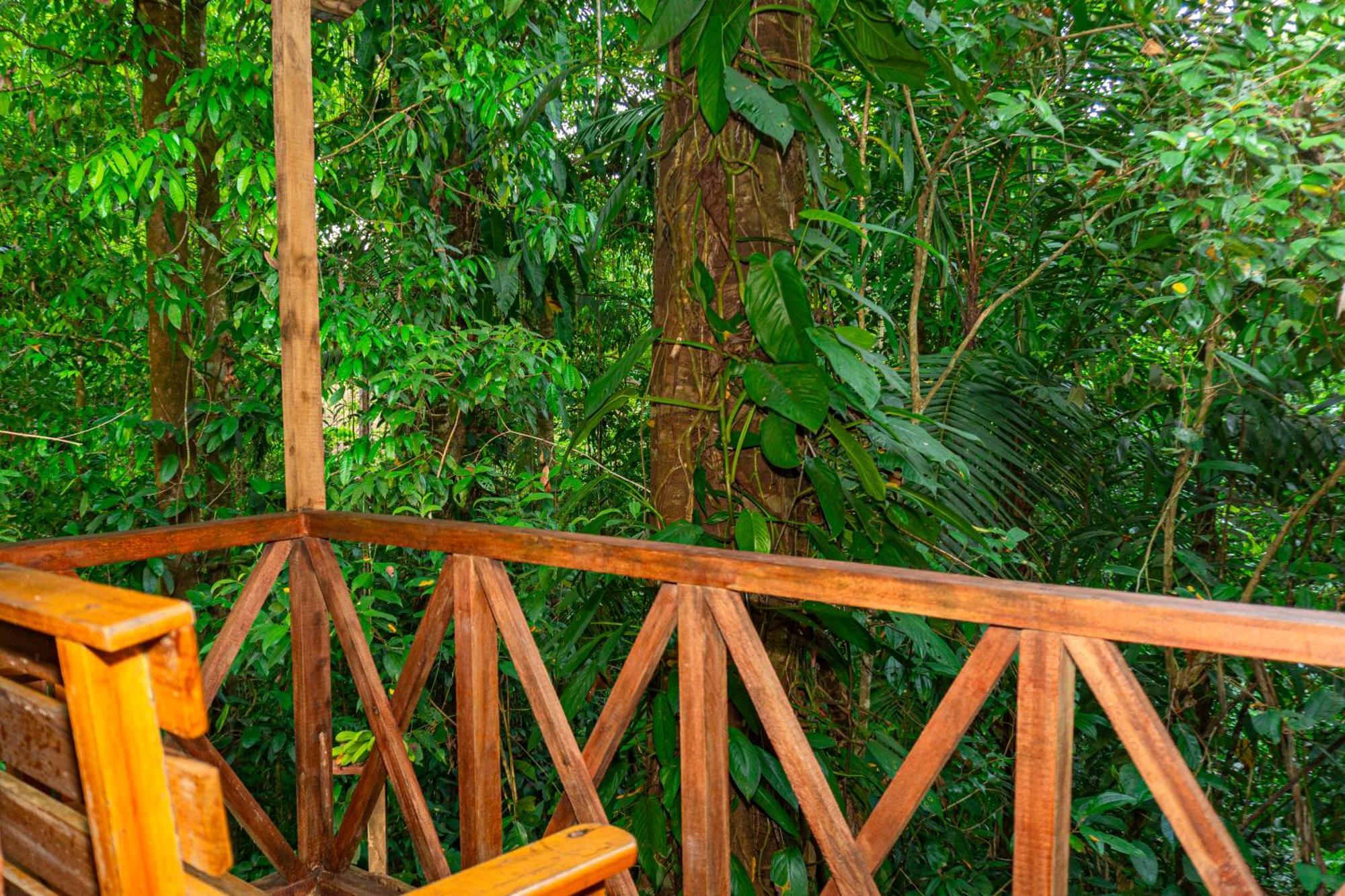 Citronela Lodge Corcovado Drake Bay Zewnętrze zdjęcie