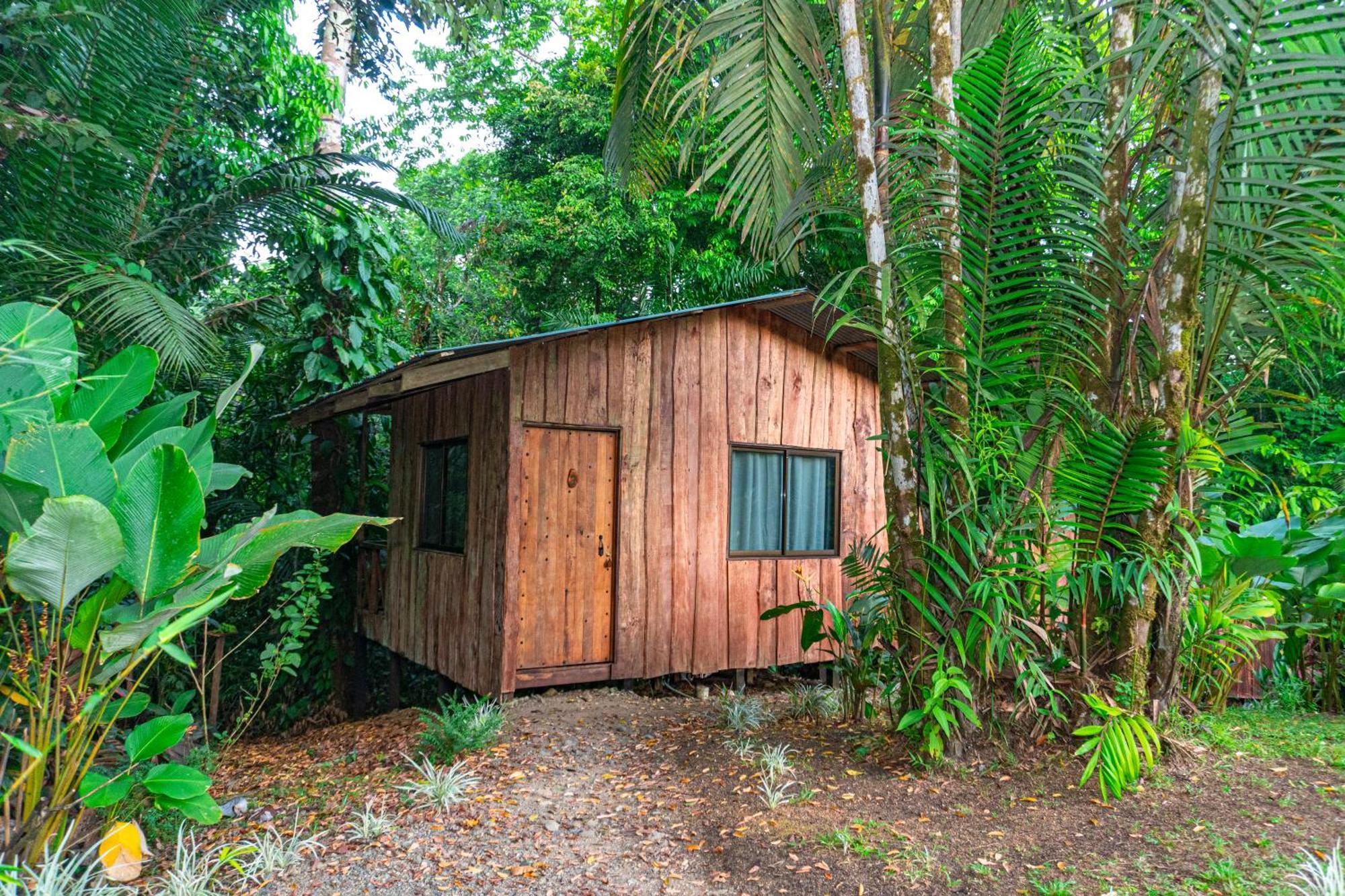 Citronela Lodge Corcovado Drake Bay Zewnętrze zdjęcie