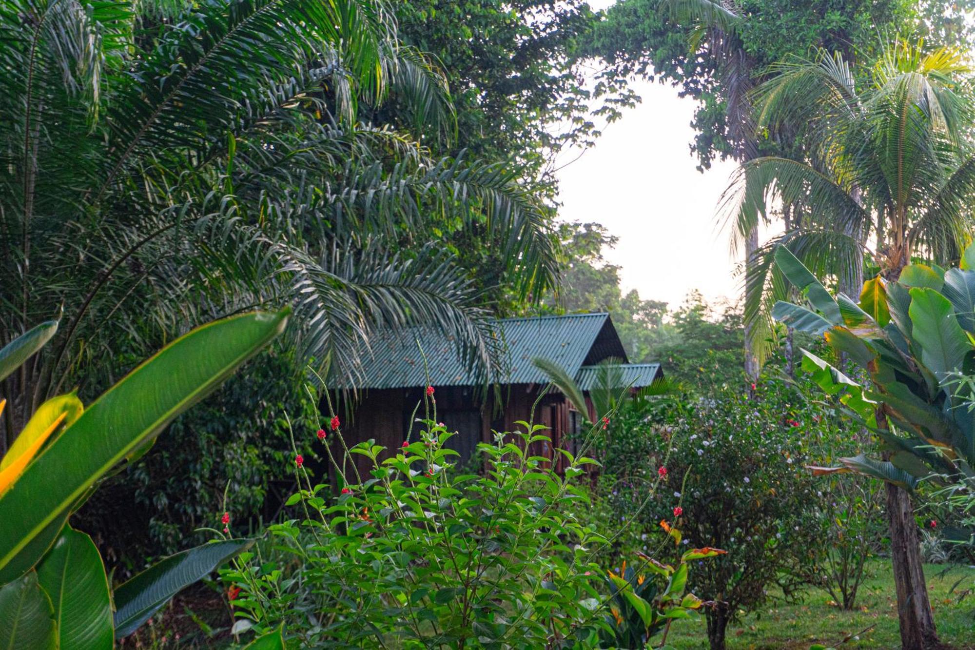 Citronela Lodge Corcovado Drake Bay Zewnętrze zdjęcie