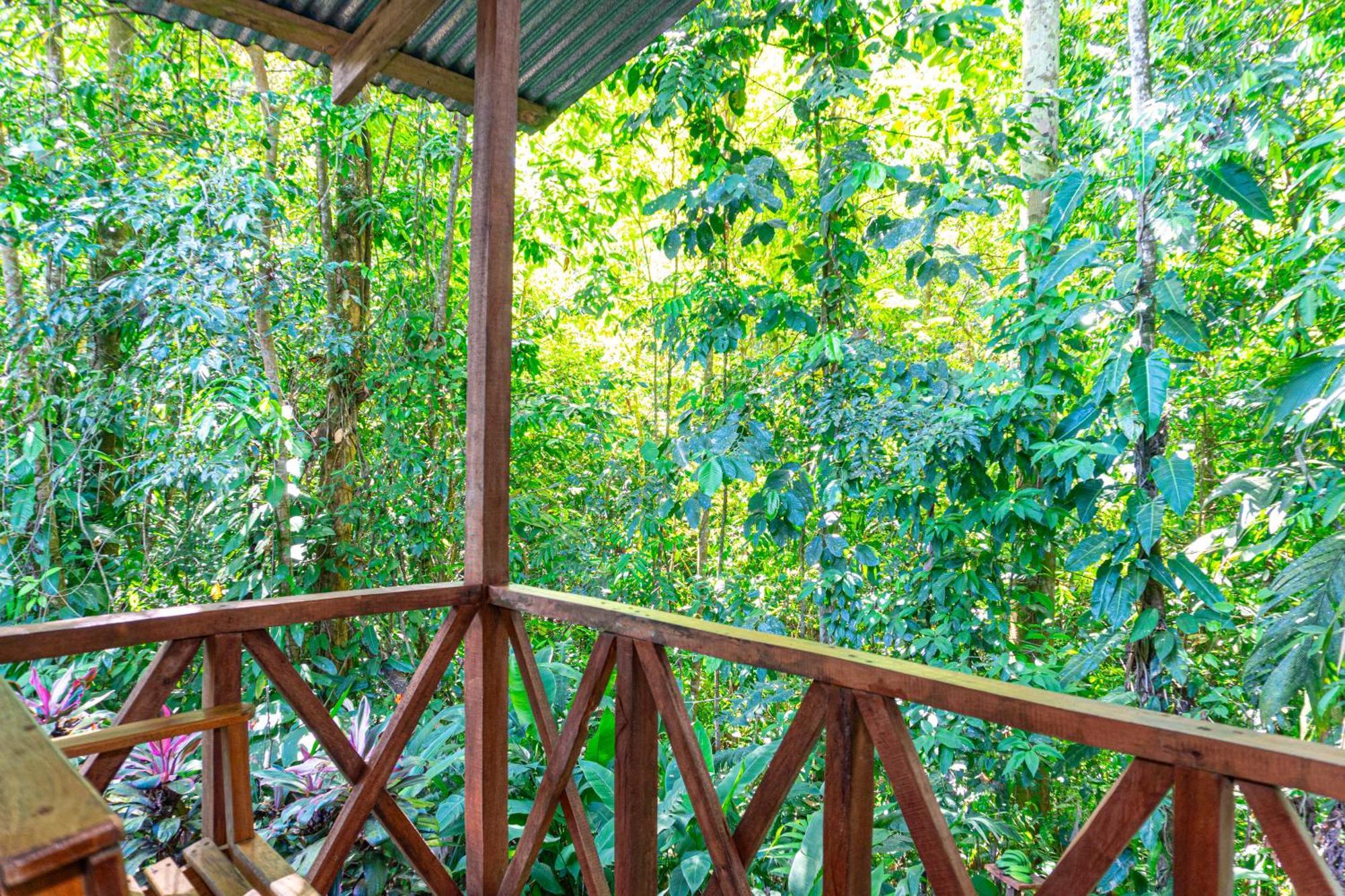 Citronela Lodge Corcovado Drake Bay Zewnętrze zdjęcie