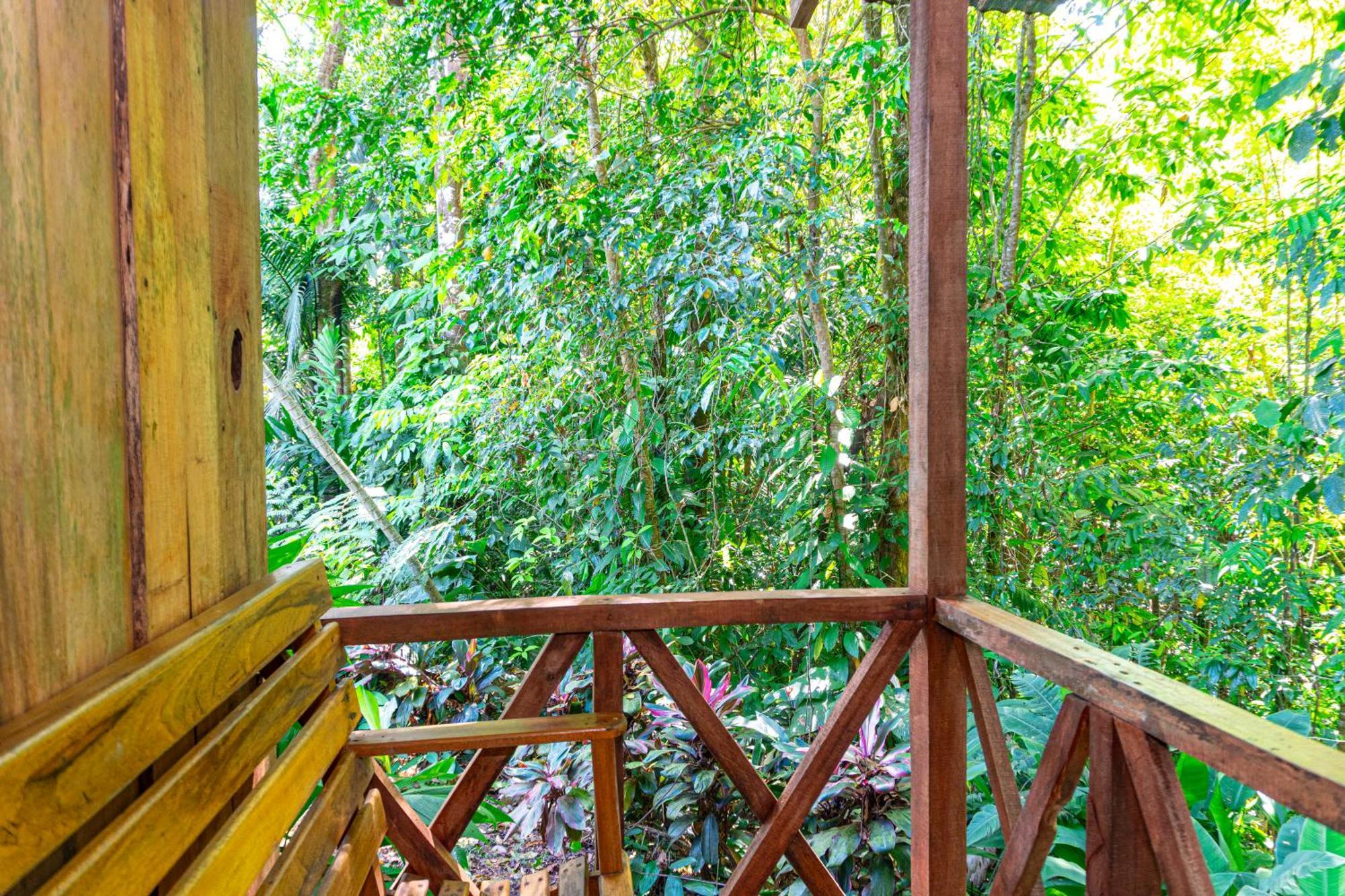 Citronela Lodge Corcovado Drake Bay Zewnętrze zdjęcie