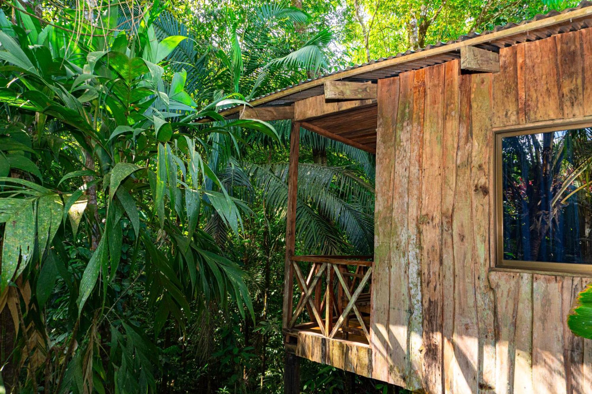 Citronela Lodge Corcovado Drake Bay Zewnętrze zdjęcie