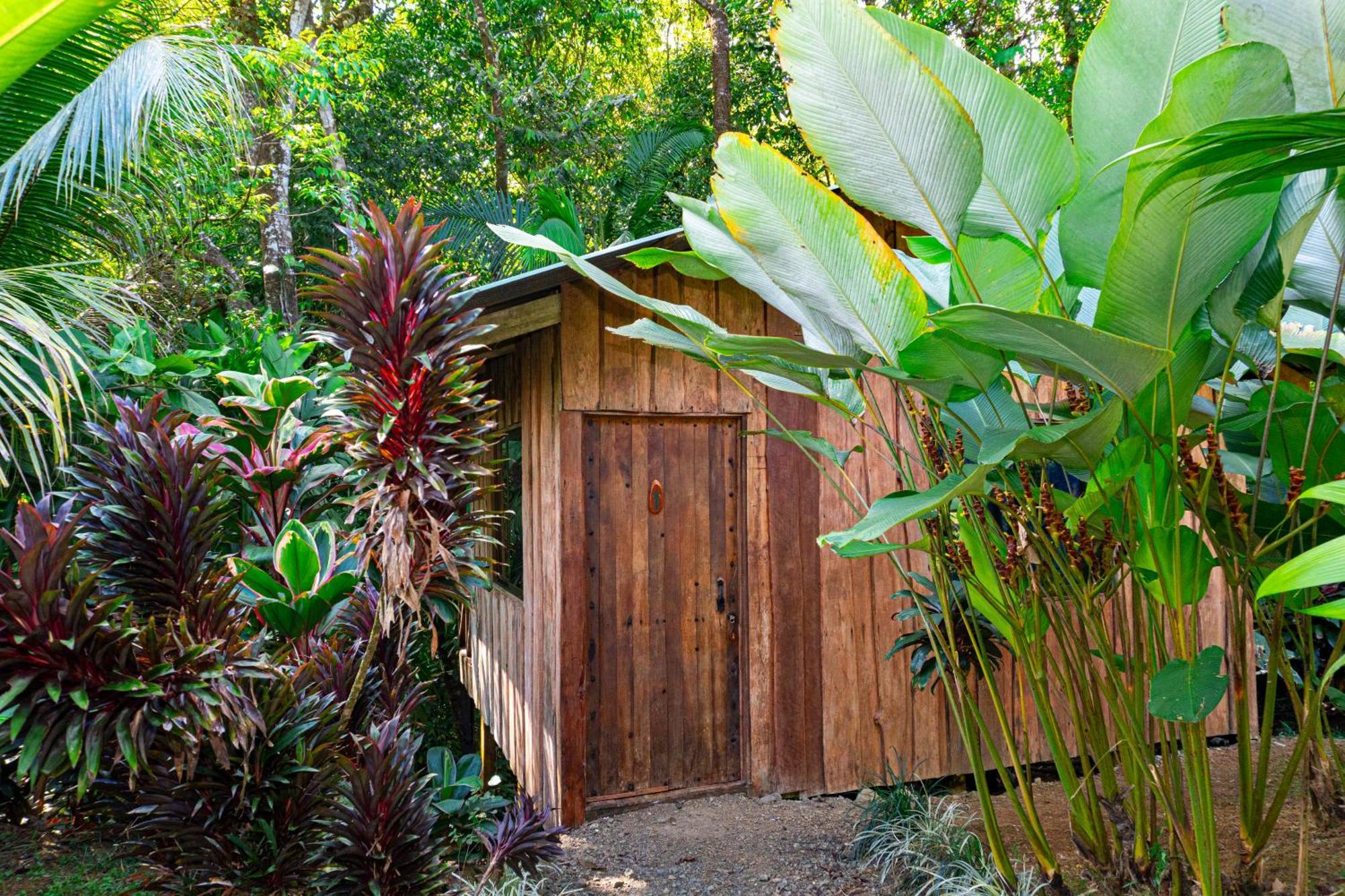 Citronela Lodge Corcovado Drake Bay Zewnętrze zdjęcie