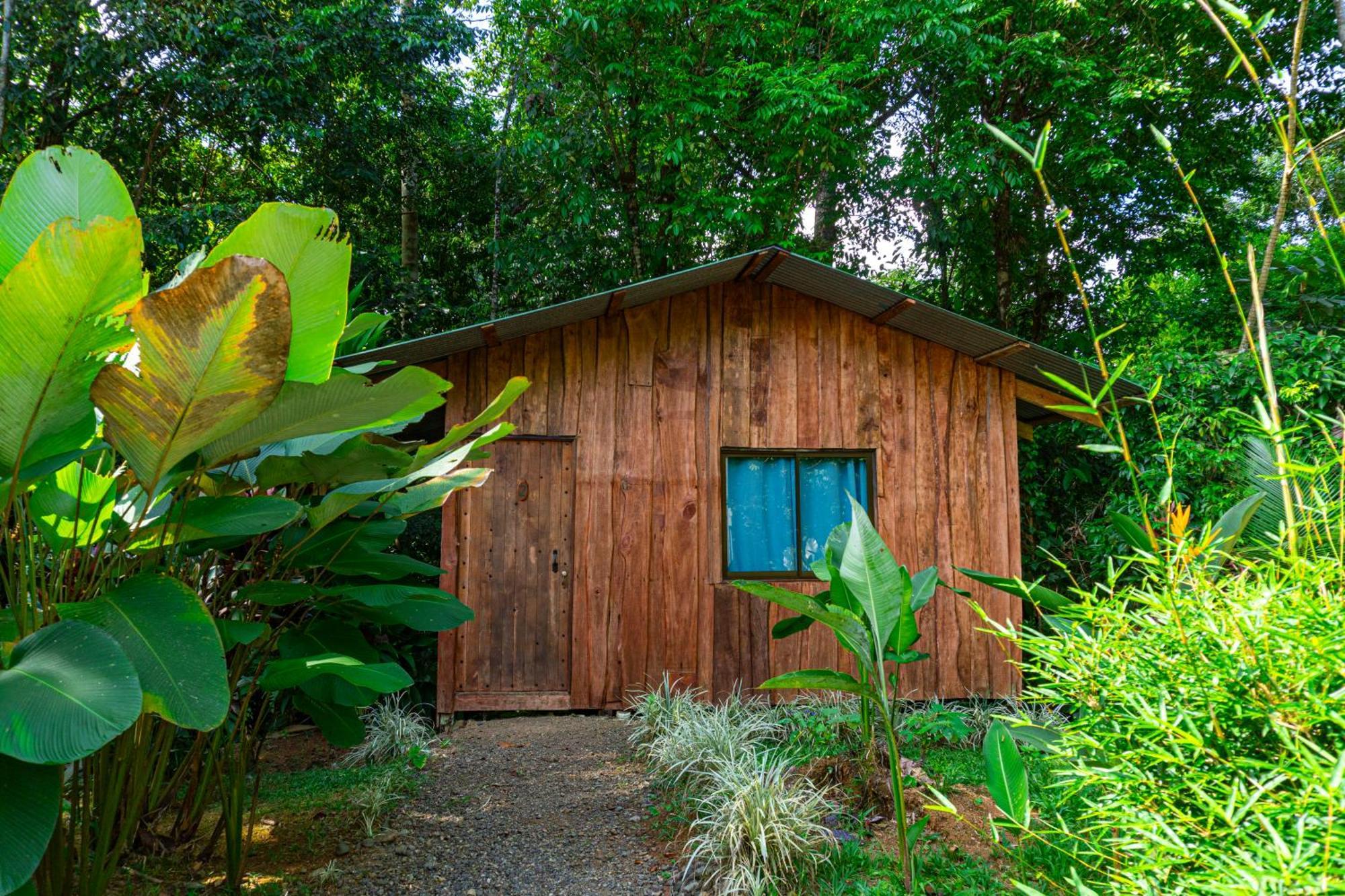 Citronela Lodge Corcovado Drake Bay Zewnętrze zdjęcie