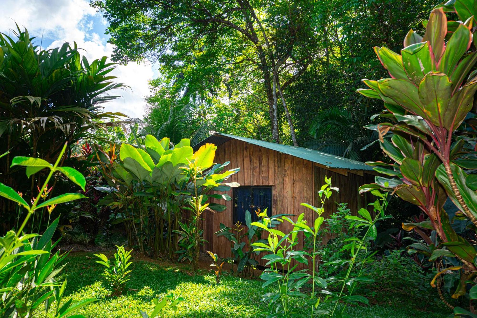 Citronela Lodge Corcovado Drake Bay Zewnętrze zdjęcie