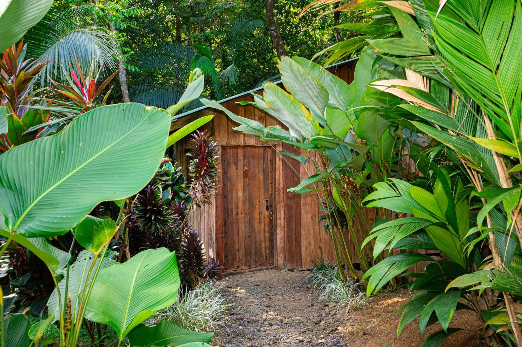 Citronela Lodge Corcovado Drake Bay Zewnętrze zdjęcie