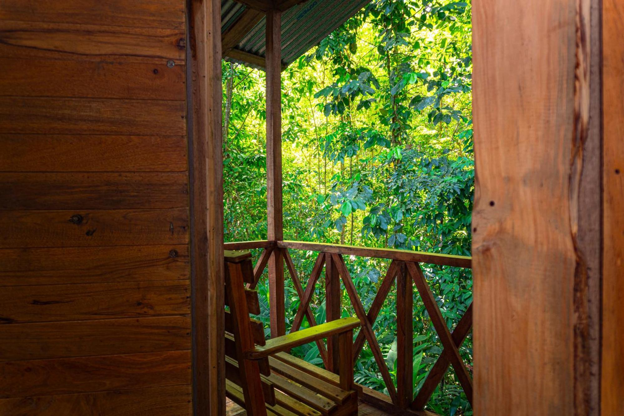 Citronela Lodge Corcovado Drake Bay Zewnętrze zdjęcie