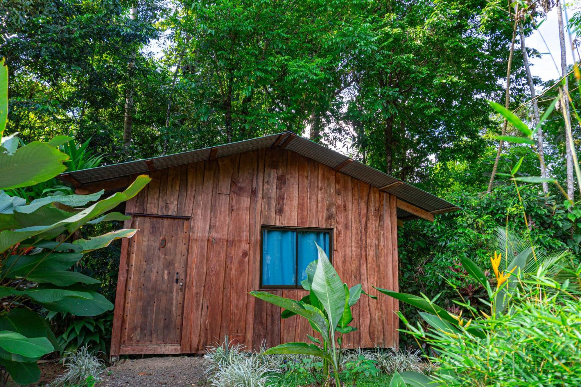 Citronela Lodge Corcovado Drake Bay Zewnętrze zdjęcie