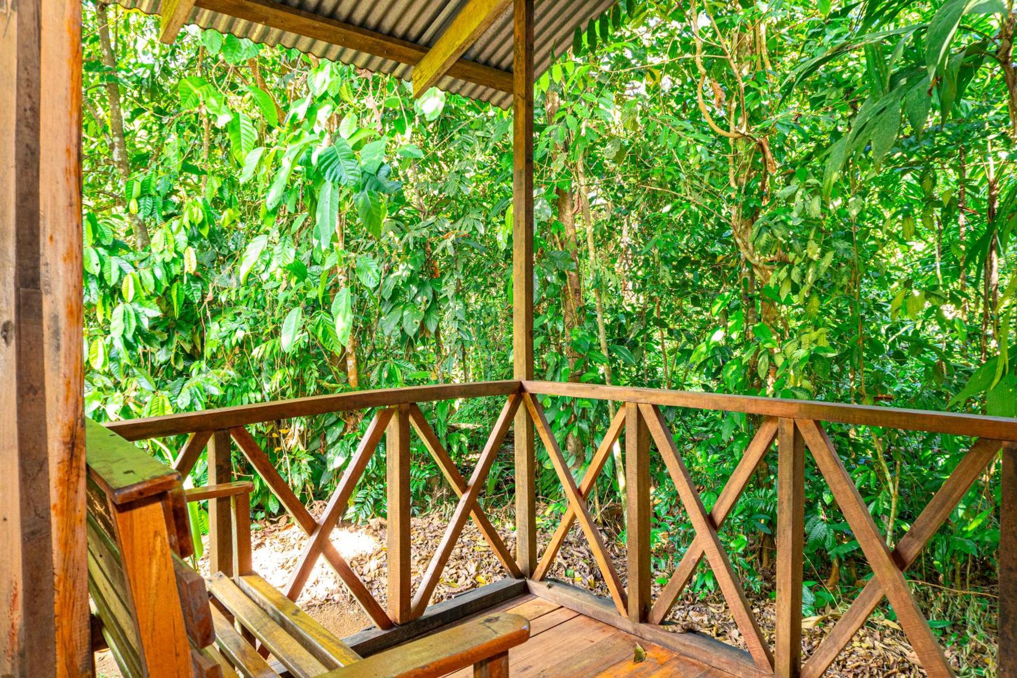 Citronela Lodge Corcovado Drake Bay Zewnętrze zdjęcie